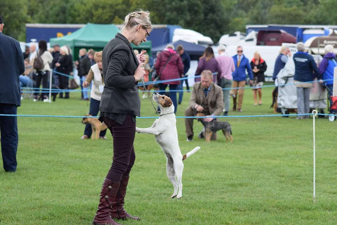 Jill Young - The Canine Midwife