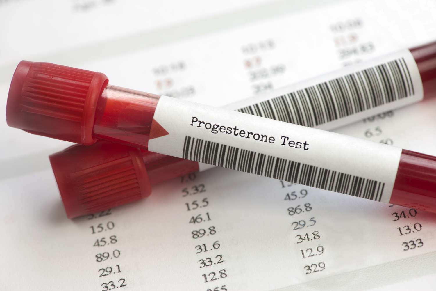 Dog Progesterone Testing